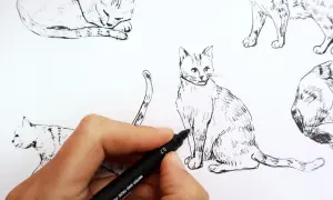Main d'artiste utilisant un feutre pour dessiner un modèle de chat, entouré d'esquisses de félins.