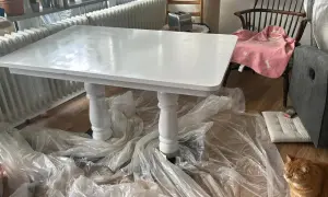 Table fraîchement peinte en blanc, attendant son temps de séchage peinture à l'huile. Un chat roux observe la scène.