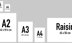 Comparaison des tailles de papier A1, A2, A3, A4, A5, A6, Raisin et Demi raisin, avec leurs dimensions indiquées.