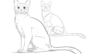 Un chat dessiné avec des formes géométriques sert de guide pour un chat réaliste. Un chat dessin facile pour apprendre.