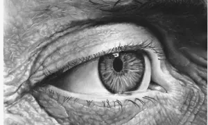 Un œil âgé, rendu avec un réalisme saisissant sur un dessin sur feuille noir facile. Les rides profondes racontent une histoire.
