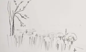 Dessin facile à faire pour débutant paysage : un arbre dénudé à gauche, des herbes hautes, des arbres stylisés et des collines lointaines.