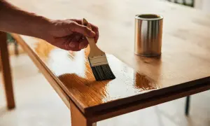 Application d'un vernis sur une peinture bois pour la protéger. La surface en bois est brillante et humide.