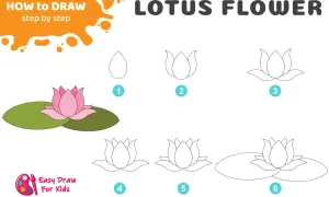 Guide étape par étape pour un dessin de fleur de lotus. Apprenez à dessiner cette belle fleur de lotus en suivant les 6 étapes simples.