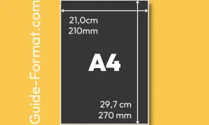 Le format A4, avec une dimension papier de 21,0 cm x 29,7 cm, est clairement indiqué.