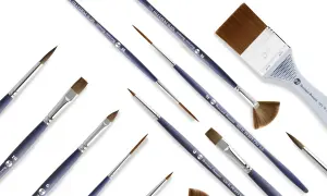Un assortiment de pinceaux de différentes tailles et formes, dont un pinceau à lavis, pour des créations artistiques.