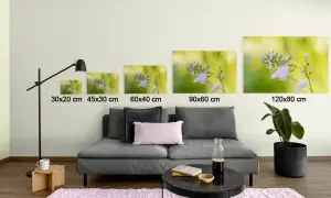 Cinq tableaux de papillons sur des fleurs, de tailles différentes, sont prêts à coller sur le mur.