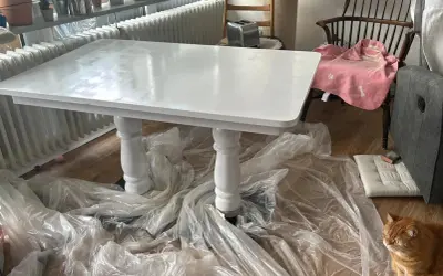 Table fraîchement peinte en blanc, attendant son temps de séchage peinture à l'huile. Un chat roux observe la scène.
