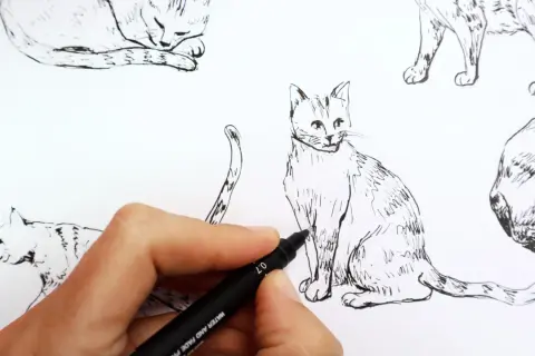 Main d'artiste utilisant un feutre pour dessiner un modèle de chat, entouré d'esquisses de félins.