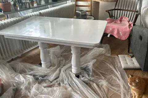 Table fraîchement peinte en blanc, attendant son temps de séchage peinture à l'huile. Un chat roux observe la scène.