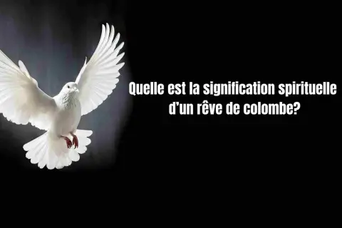Une magnifique oeuvre d'art oiseau, une colombe blanche aux ailes déployées, symbolisant la paix et l'espoir.