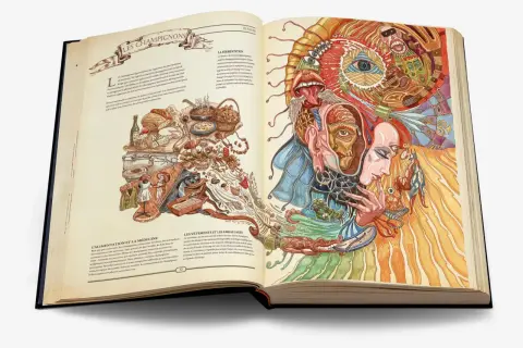 Livre ouvert sur des illustrations détaillées de champignons, de nourriture et d'une tête humaine psychédélique. Format feuille a.