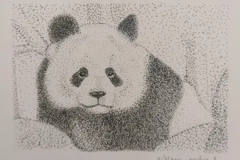 Un adorable panda au regard mélancolique, réalisé en dessin pointillisme facile. Chaque point contribue à la douceur de sa fourrure.