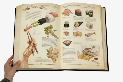 Un livre ouvert, format plus grand que A4, illustre la préparation des sushis avec des dessins détaillés de poisson, riz, wasabi et gingembre.