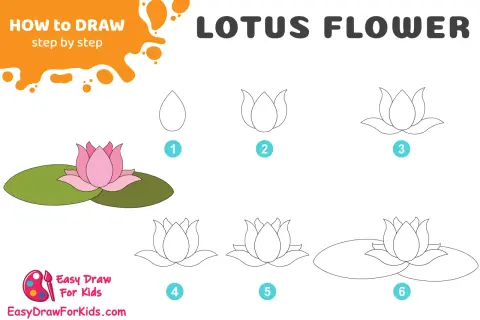Guide étape par étape pour un dessin de fleur de lotus. Apprenez à dessiner cette belle fleur de lotus en suivant les 6 étapes simples.