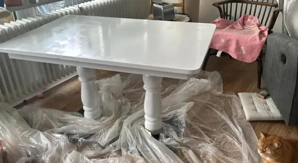 Table fraîchement peinte en blanc, attendant son temps de séchage peinture à l'huile. Un chat roux observe la scène.