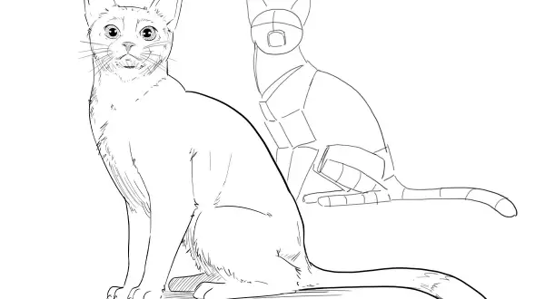 Un chat dessiné avec des formes géométriques sert de guide pour un chat réaliste. Un chat dessin facile pour apprendre.