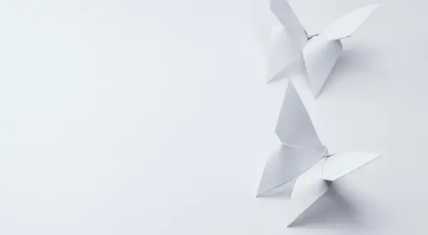 Deux papillons en origami blanc, créés avec un grammage papier origami idéal, flottent sur un fond épuré.