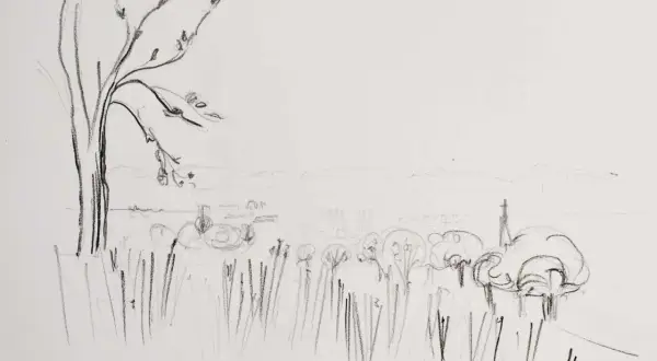 Dessin facile à faire pour débutant paysage : un arbre dénudé à gauche, des herbes hautes, des arbres stylisés et des collines lointaines.