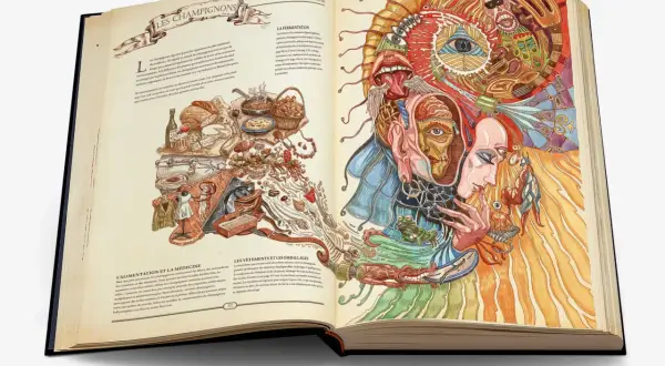 Livre ouvert sur des illustrations détaillées de champignons, de nourriture et d'une tête humaine psychédélique. Format feuille a.