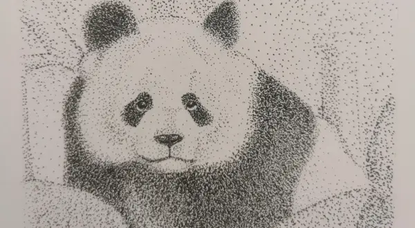 Un adorable panda au regard mélancolique, réalisé en dessin pointillisme facile. Chaque point contribue à la douceur de sa fourrure.