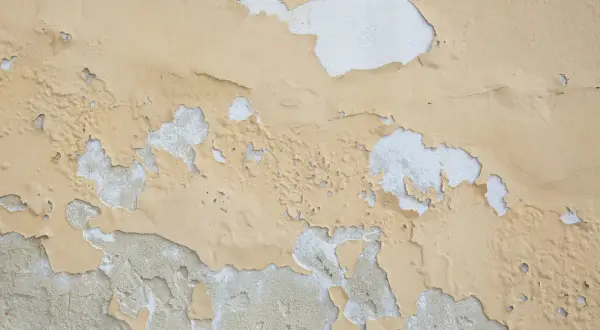 Texture d'un mur où la peinture qui ne tient pas s'écaille, révélant le plâtre blanc en dessous.