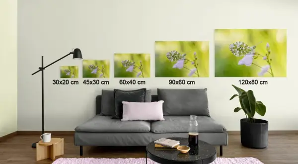 Cinq tableaux de papillons sur des fleurs, de tailles différentes, sont prêts à coller sur le mur.