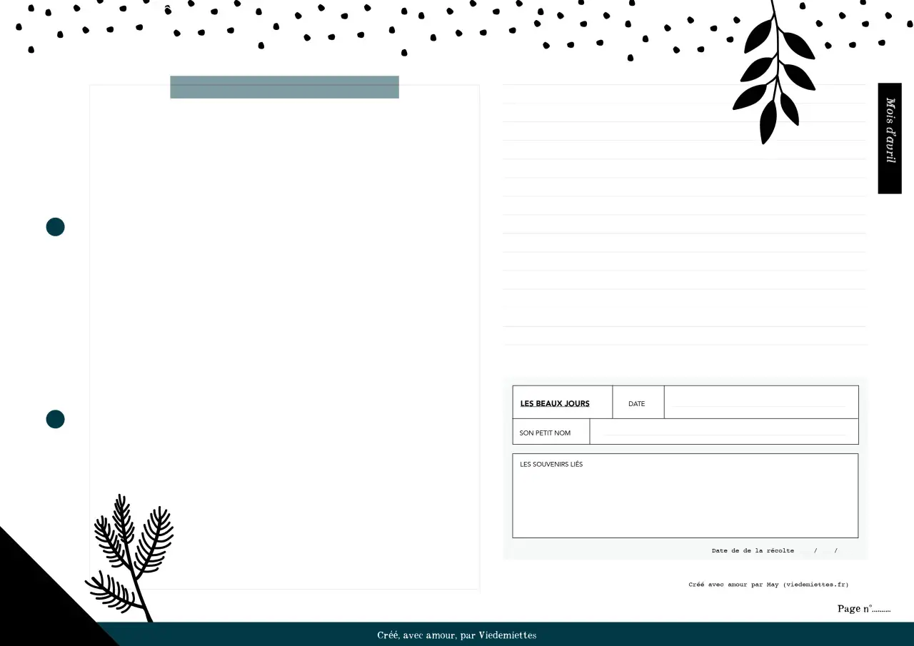 Page de garde herbier. Un design épuré avec des motifs de points noirs et des illustrations végétales. Idéal pour consigner les souvenirs de chaque fleur.