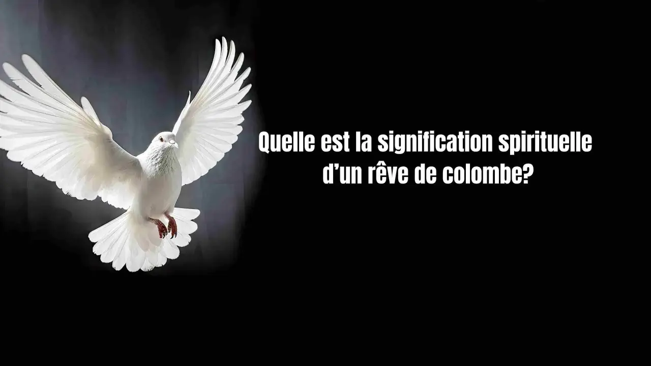Une magnifique oeuvre d'art oiseau, une colombe blanche aux ailes déployées, symbolisant la paix et l'espoir.