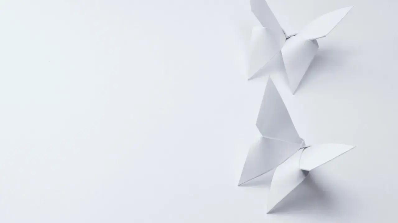 Deux papillons en origami blanc, créés avec un grammage papier origami idéal, flottent sur un fond épuré.