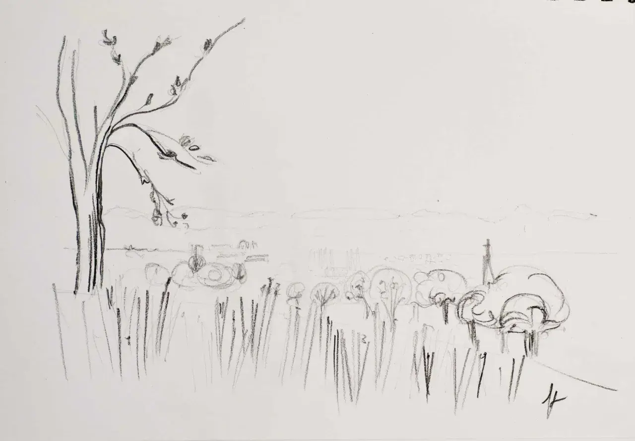 Dessin facile à faire pour débutant paysage : un arbre dénudé à gauche, des herbes hautes, des arbres stylisés et des collines lointaines.