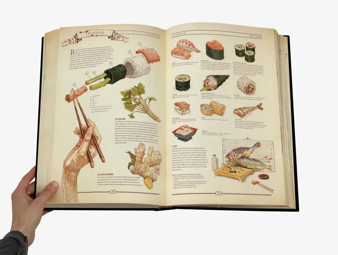 Un livre ouvert, format plus grand que A4, illustre la préparation des sushis avec des dessins détaillés de poisson, riz, wasabi et gingembre.