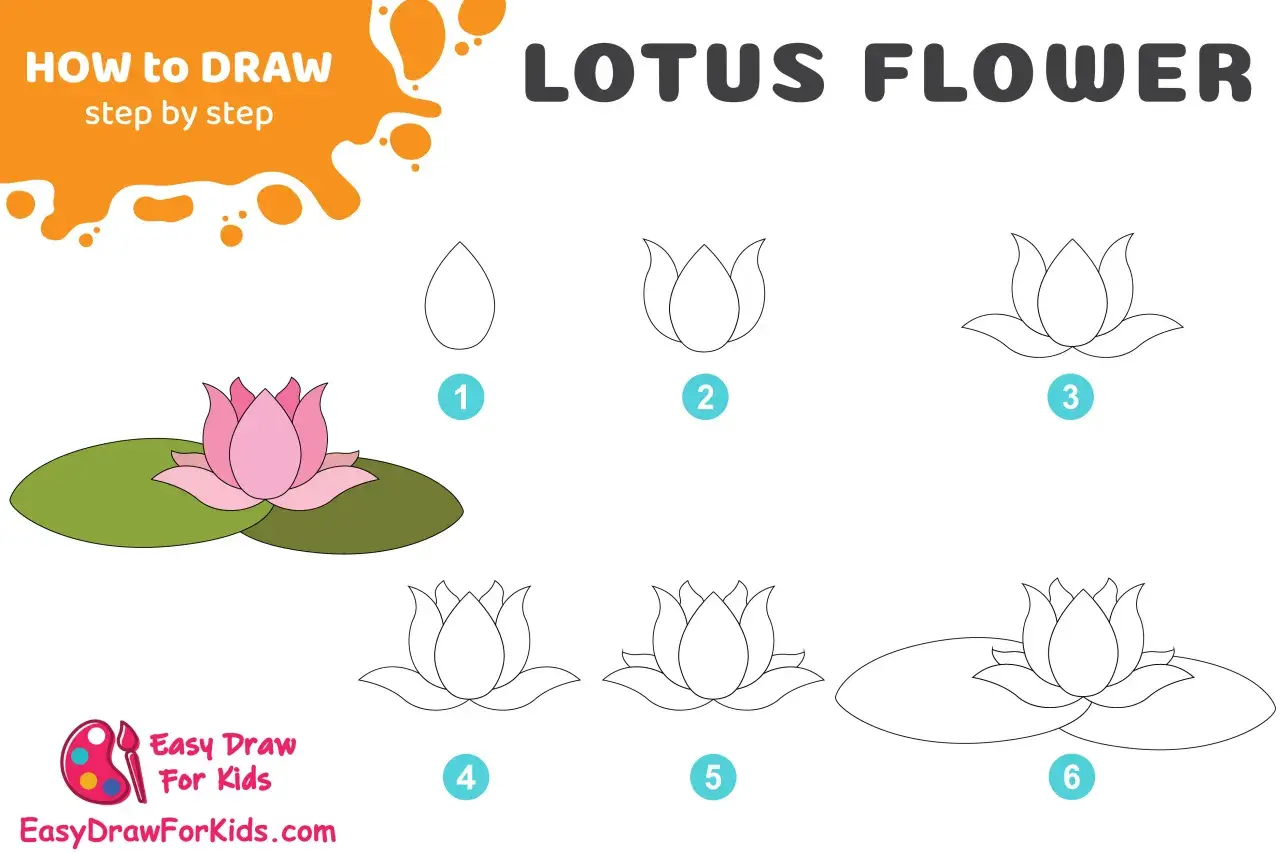 Guide étape par étape pour un dessin de fleur de lotus. Apprenez à dessiner cette belle fleur de lotus en suivant les 6 étapes simples.