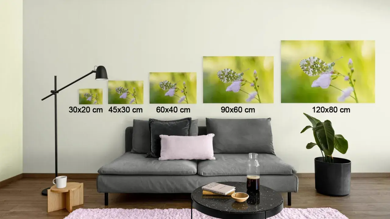Cinq tableaux de papillons sur des fleurs, de tailles différentes, sont prêts à coller sur le mur.