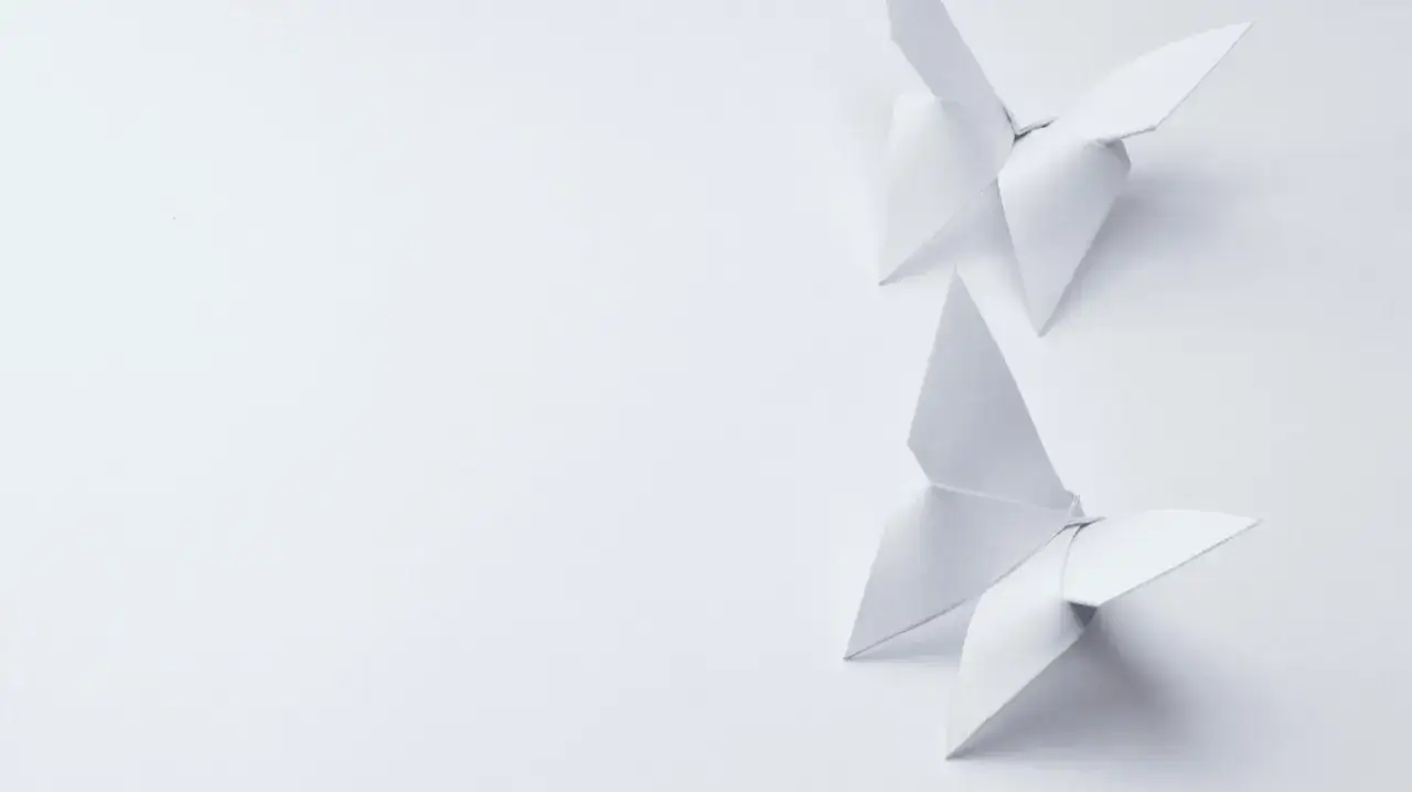 Deux papillons en origami blanc sur fond clair. Quel papier pour origami choisir pour un tel résultat ?