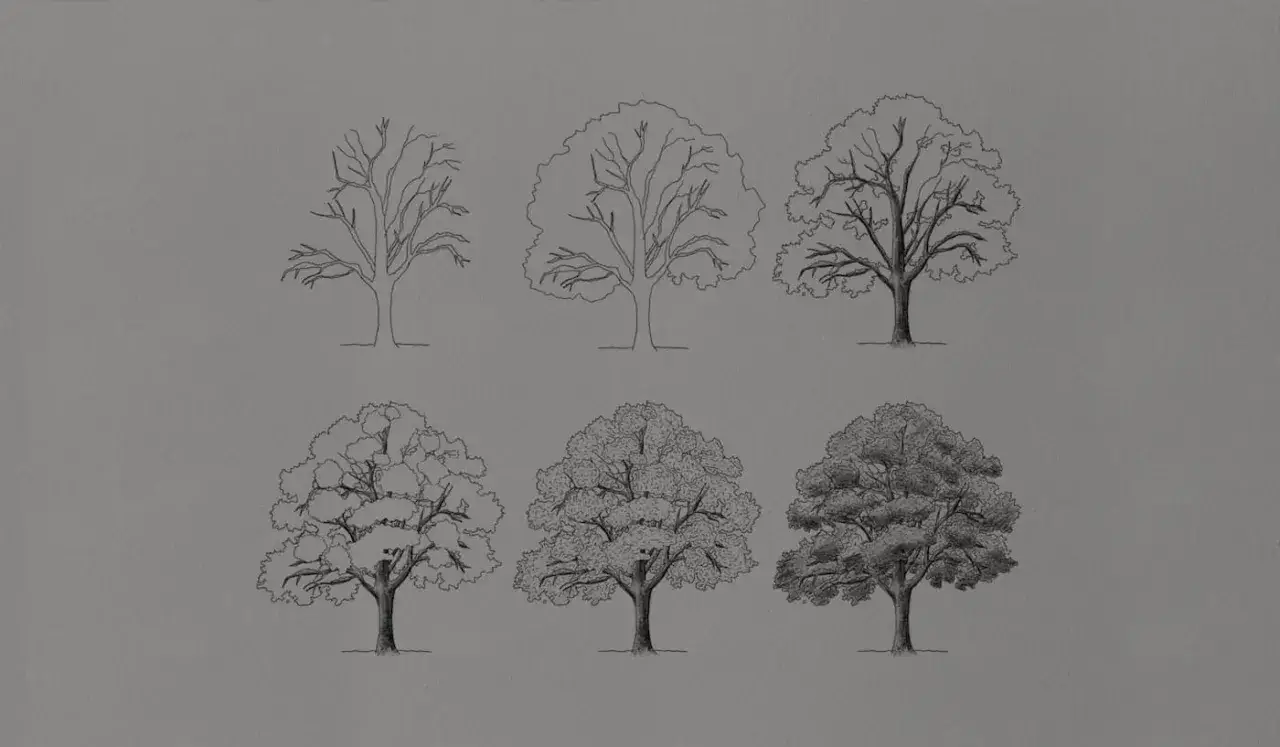 Un dessin arbre évolue, de l'esquisse des branches nues à une ramure dense et ombragée, montrant différentes étapes de croissance.