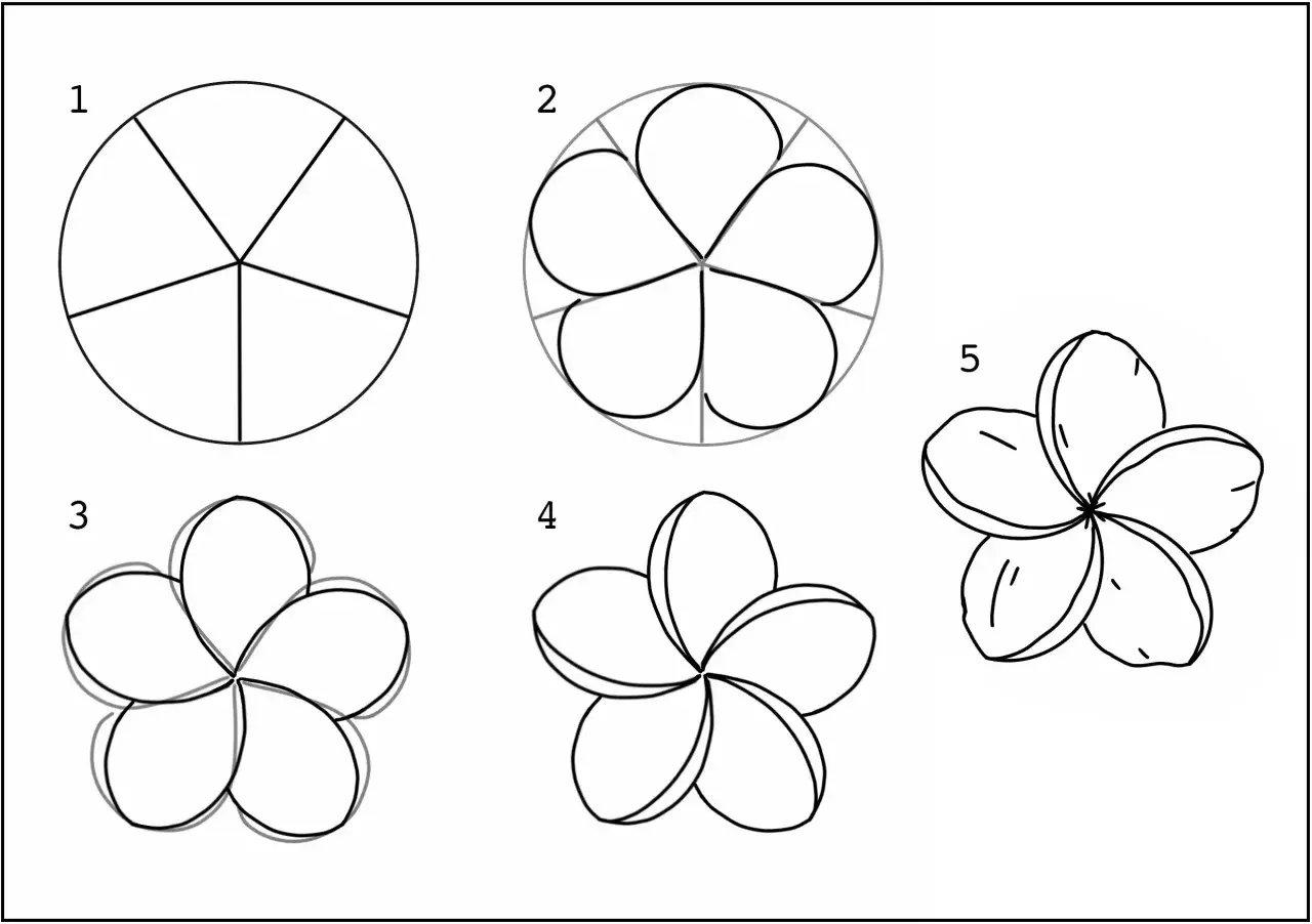 Illustration montrant les étapes d'un fleur dessin.