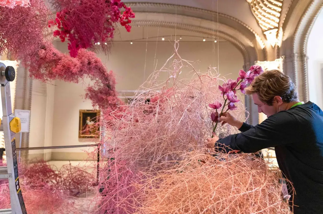 Un artiste ajuste des orchid&eacute;es roses dans une installation spectaculaire de branches roses, illustrant la beaut&eacute; des fleurs dans l'art contemporain.