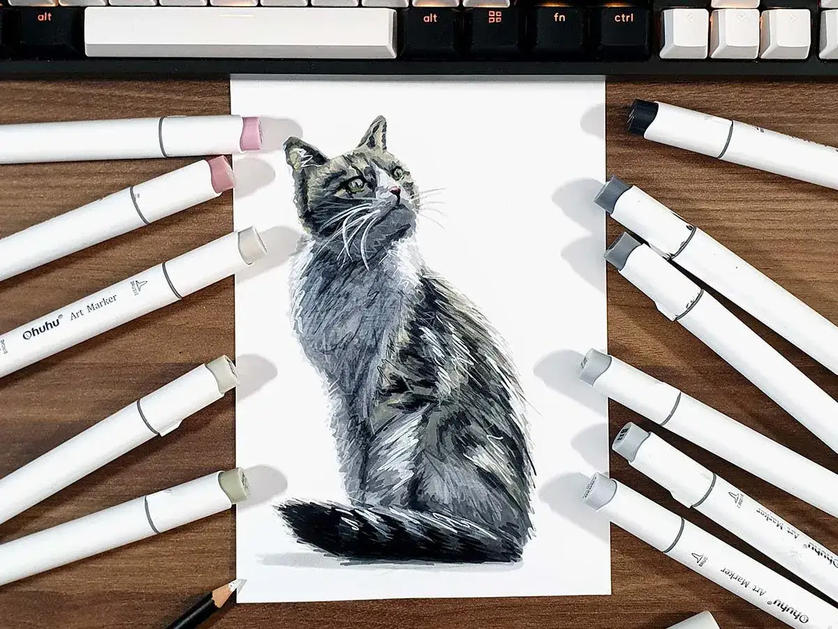 Un mod&egrave;le pour dessiner un chat, entour&eacute; de marqueurs Ohuhu. Le chat est repr&eacute;sent&eacute; avec des tons gris et bruns, le regard tourn&eacute; vers le haut.