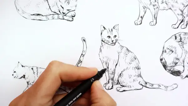 Main d'artiste utilisant un feutre pour dessiner un modèle de chat, entouré d'esquisses de félins.