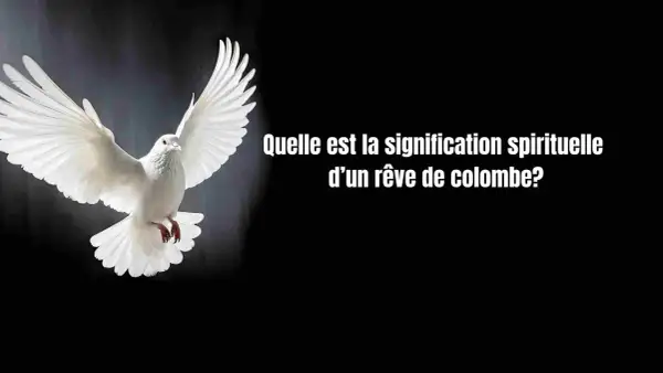 Une magnifique oeuvre d'art oiseau, une colombe blanche aux ailes déployées, symbolisant la paix et l'espoir.