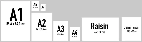 Comparaison des tailles de papier A1, A2, A3, A4, A5, A6, Raisin et Demi raisin, avec leurs dimensions indiquées.