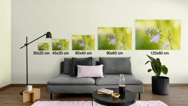 Cinq tableaux de papillons sur des fleurs, de tailles différentes, sont prêts à coller sur le mur.