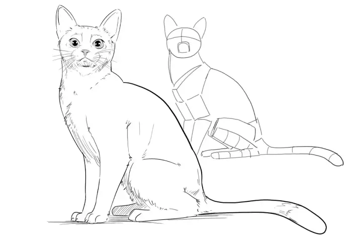 Un chat dessiné avec des formes géométriques sert de guide pour un chat réaliste. Un chat dessin facile pour apprendre.